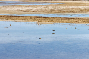 Colorful scene of the southeastern part of the Tuzla Lagoon in autumn