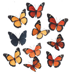 Group of colorful butterflies on transparent background