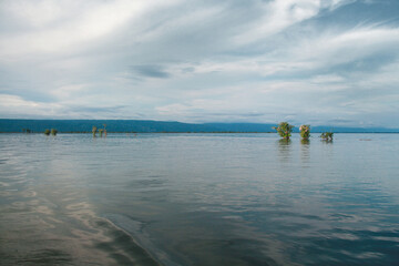 Small wonders are nature&rsquo;s masterpieces