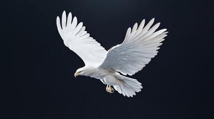 Obraz premium An embossed white eagle design against a dark backdrop, with overhead lighting casting subtle shadows to emphasize the depth and craftsmanship. photo