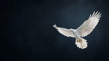 Obraz premium An embossed white eagle design against a dark backdrop, with overhead lighting casting subtle shadows to emphasize the depth and craftsmanship. photo