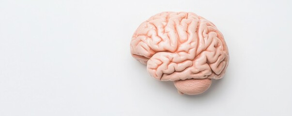 Examine the role of medical interventions in treating olfactory disorders linked to hearing loss