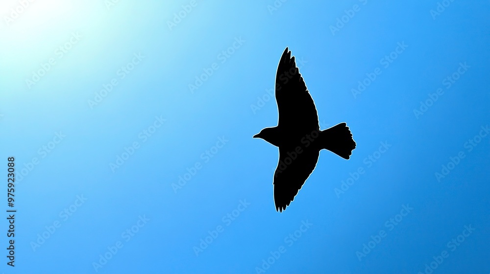 Wall mural Silhouette of a bird's shadow soaring across a bright blue sky, symbolizing freedom and the ethereal beauty of flight in the natural world. 