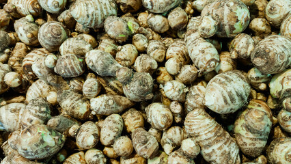 Fresh Taro Roots Piled Together Organic Tropical Root Vegetable