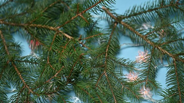 Christmas decoration with fir branches