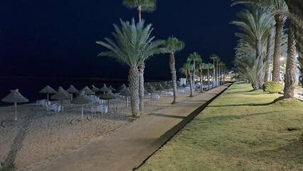 Tree-lined esplanade, Playa del Camison in Los Cristianos at night, Tenerife, Canary Islands, Spain, Europe.