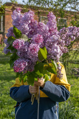 A bouquet of lilacs in the hands of a child
