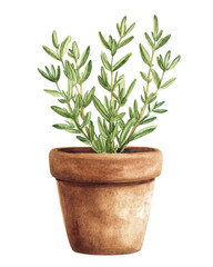 A potted plant with lush green leaves, symbolizing nature and tranquility. Perfect for home decor or gardening themes.