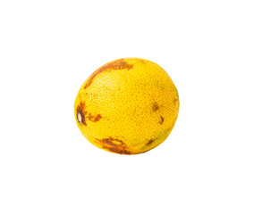 Rotten lemon on white background, citrus