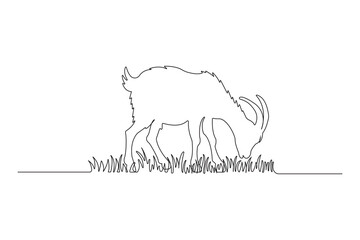 Continuous line art drawing of a goat eating grass. Hand-drawn goat illustration isolated on white background.