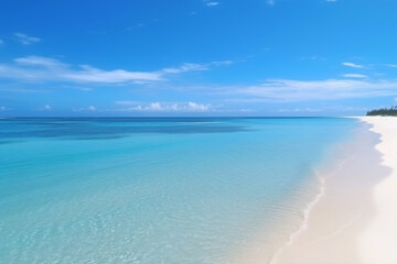 Fototapeta premium Sandy beach with clear blue water on a sunny day
