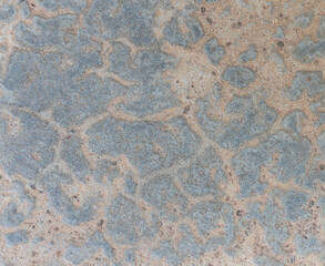 Texture of grey concrete wall for background.	