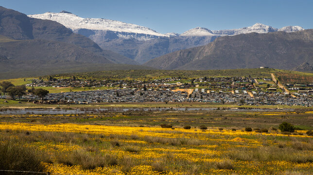 landscape with spring flowers and snowy mountains