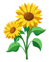 Obraz premium sunflowers buds, yellow petals blooming, green stems with leaves, photorealistic digital painting, highly detailed close-up, transparent background