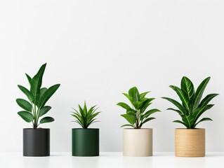 A plant rental service that delivers fresh greenery to offices and homes on a subscription basis