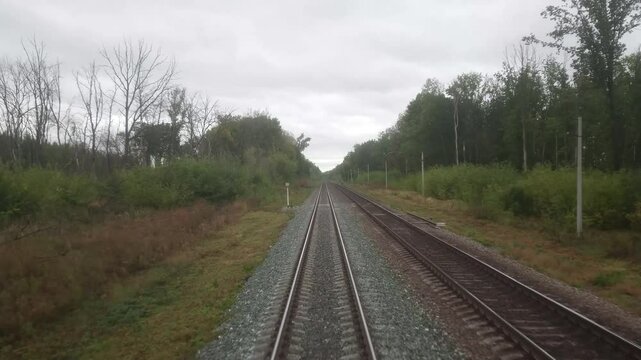 Video shooting through the windshield of the train driver's cabin. Moving forward. The Russian Railway. An autumn cloudy day, green trees.