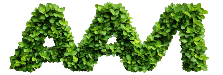 Green Bush. Transparent Bush. Bushes with alpha channel. Abstract shape.