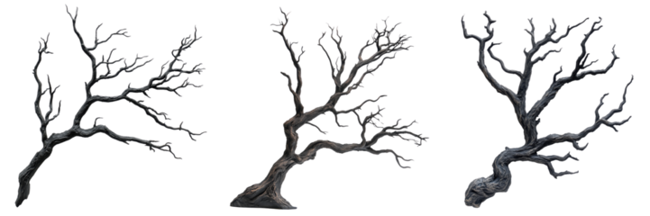 Set of haunted tree branch prop isolated on a transparent background