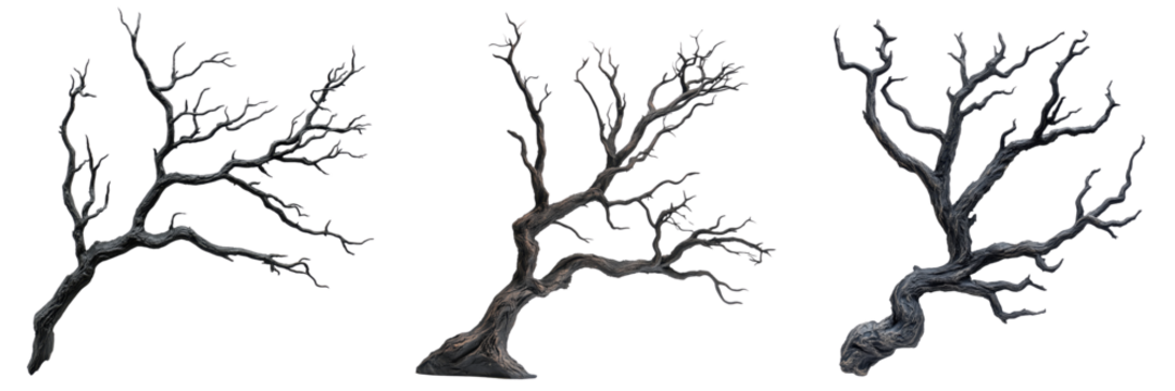 Set of haunted tree branch prop isolated on a transparent background