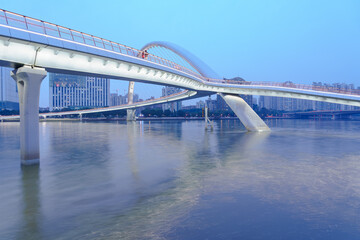 Guangzhou Pearl River Haixin Bridge and Urban Architectural Landscape
