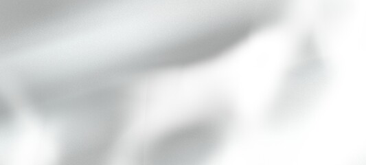 Naklejka premium An abstract background with an organic shadow cast over a white textured wall