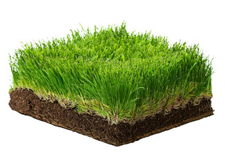 A sod of grass isolated. Squared piece of ground and soil