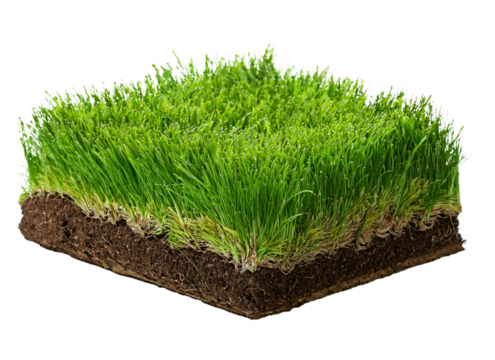 A sod of grass isolated. Squared piece of ground and soil