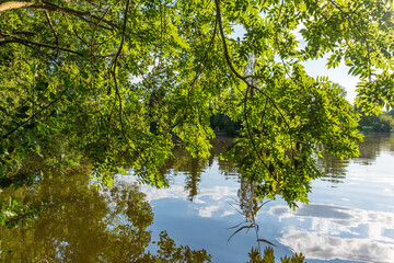 Fototapete bei efototapeten.de bestellen   