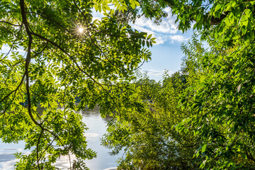 Fototapete bei efototapeten.de bestellen   