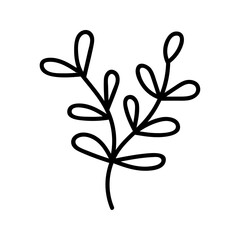 Leaves, plant in doodle style. Vector, on a white background