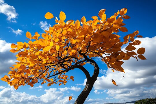 A tree bending in the wind, its branches swaying as leaves are carried away in the gusts
