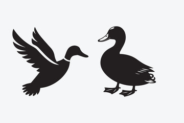 Duck silhouette vector and illustration
