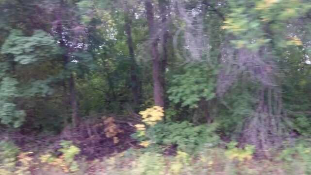 View from the window of a moving train carriage. autumn landscape.