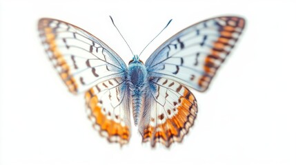 Naklejka premium ethereal blue and orange butterfly in midflight captured with highspeed photography gossamer wings with intricate patterns against a pure white background