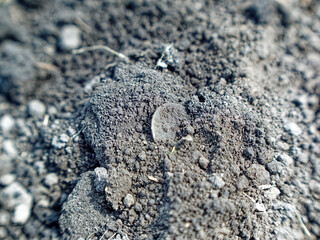 Ancient coin found in the ground