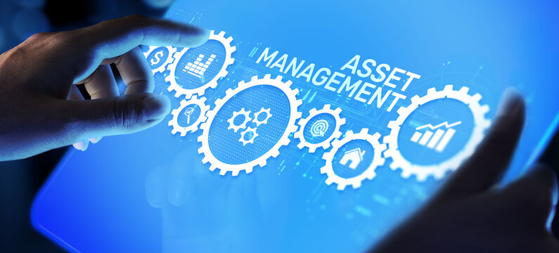 Asset management Financial Property Digital software assets SAM DAM.