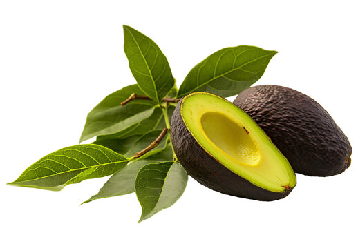 A whole avocado and a halved avocado with leaves on a transparent background