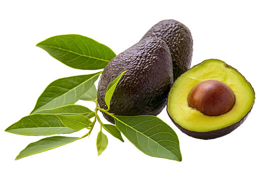 A whole avocado and a halved avocado with leaves on a transparent background