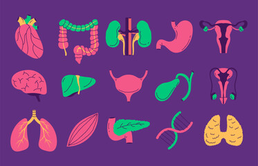 Human internal organs doodle line art style isolated set. Vector graphic design element illustration