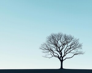 Fototapeta premium A bare tree with twisted branches in silhouette, casting a delicate shadow on a flat, open field bare tree, shadow, minimalist landscape