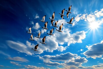 Fototapeta premium A flock of birds soaring through the sky in unison, their synchronized flight forming fluid patterns in the air