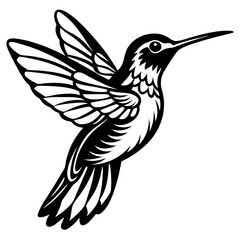 hummingbird in flight.bird vector.Rufous hummingbird silhouette - Hummingbird Bird Clipart - Rufous Hummingbird in flight illustration in black and white.Vector hand-drawn illustration of Broad-Tippe
