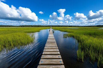 Obraz premium A gas pipeline running through wetlands, with environmental protections in place to preserve the natural habitat around the infrastructure