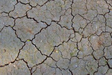 Close up view of the cracked ground surface due to global warming