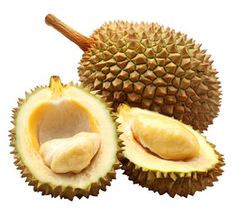 Naklejka premium Durian fruit with creamy flesh exposed and spiky outer shell, Cutout, Isolated on White Background