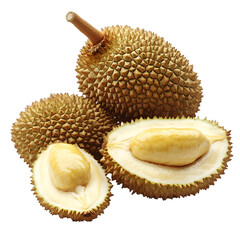Obraz premium Durian fruit cut open showing creamy flesh and spiky exterior, Cutout, Isolated on White Background