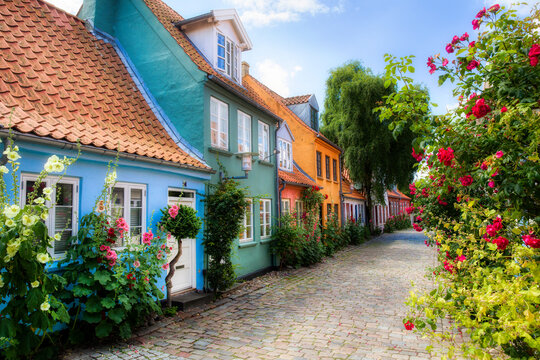 Houses in the Charming and Famous Street Called M&oslash;llestien in Aarhus, Denmark
