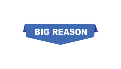 Big reason button web banner templates. Vector Illustration 
