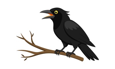 Fototapeta premium black crow sitting on a branch, on a white background