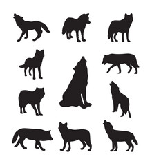 Set of wolf animal silhouettes vector 